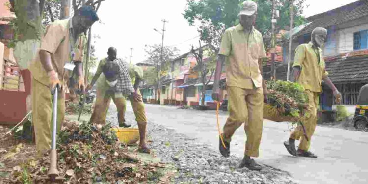 കൽപ്പാത്തി തേരിനുള്ള മുന്നൊരുക്കങ്ങൾ ആരംഭിച്ചു