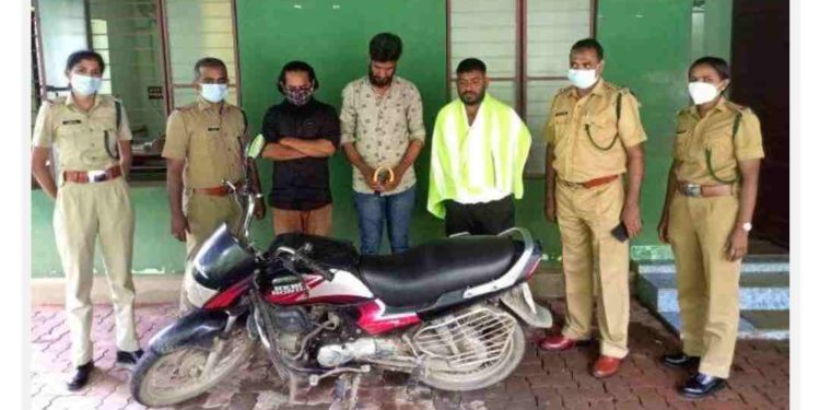 ആനക്കൊമ്പ് വിൽക്കാൻ ശ്രമിച്ച യുവാക്കൾ പിടിയിൽ