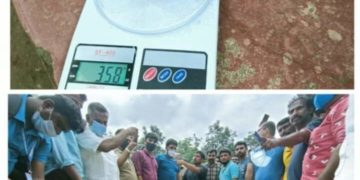 തച്ചനാട്ടുകരയിൽ വൻ കഞ്ചാവ്, ഹാഷിഷ് ഓയിൽ വേട്ട