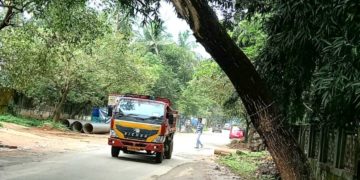 റോഡരികിലെ മരം അപകടാവസ്ഥയിൽ