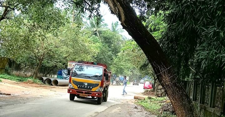റോഡരികിലെ മരം അപകടാവസ്ഥയിൽ