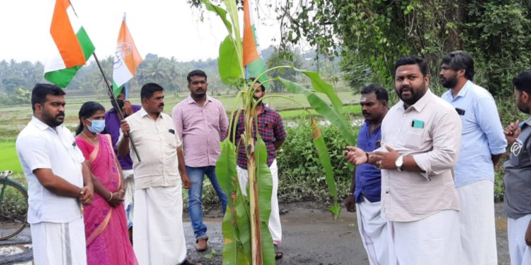 വാഴനട്ടു പ്രതിഷേധിച്ചു.