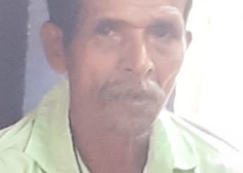 കടന്നൽ കുത്തേറ്റ് കർഷക തൊഴിലാളി മരിച്ചു