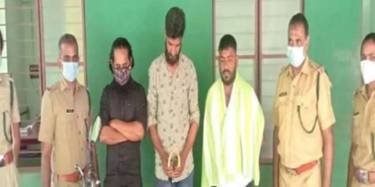 ആനക്കൊമ്പു കുളുമായി മൂന്ന് പേർ പിടിയിൽ
