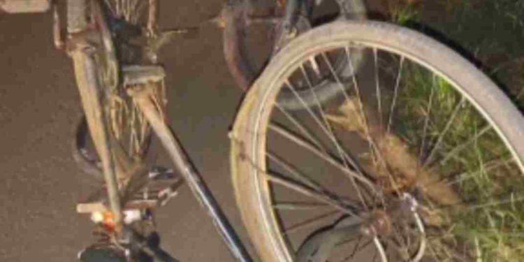 പത്തിരിപ്പാലയിൽ ബൈക്ക് സൈക്കളിൽ ഇടിച്ച് രണ്ട് പേർക്ക് പരിക്ക്