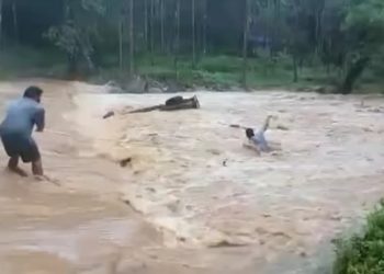 അട്ടപ്പാടിയില്‍ കനത്ത മഴ: പിക്കപ്പ് വാന്‍ ഒഴുകിപ്പോയി; അച്ഛനും മകനും തലനാരിഴയ്ക്ക് രക്ഷപ്പെട്ടു