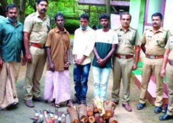 ചന്ദനമരം മുറിച്ചു കടത്താൻ ശ്രമിച്ച മൂന്ന് പേർ അറസ്റ്റിൽ