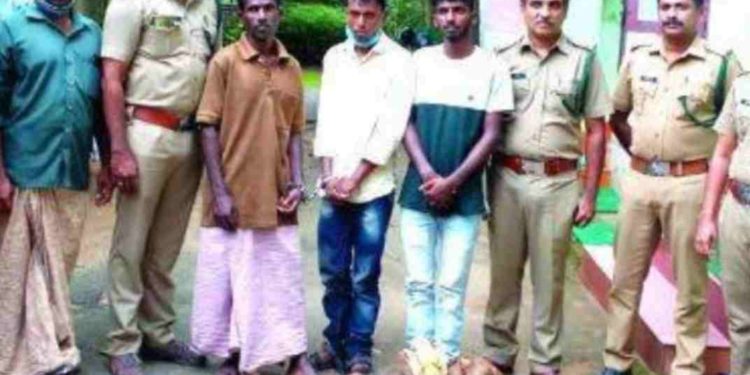ചന്ദനമരം മുറിച്ചു കടത്താൻ ശ്രമിച്ച മൂന്ന് പേർ അറസ്റ്റിൽ