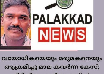 വയോധികയെയും മരുമകനെയും ആക്രമിച്ചു മാല കവർന്ന കേസ് പ്രതി അറസ്റ്റിൽ.