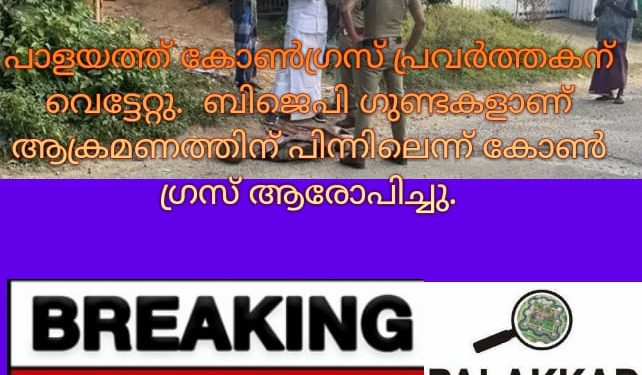 വടക്കഞ്ചേരി പാളയത്ത് സംഘർഷം: യൂത്ത് കോൺ​ഗ്രസ് പ്രവർത്തകന് വെട്ടേറ്റു; പിന്നിൽ ബിജെപിയെന്ന്