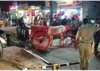 രാത്രി റോഡിൽ കാളവണ്ടിയോട്ടമത്സരം : കേസെടുത്തതിൽ പ്രതിഷേധിച്ച്‌ റോഡുപരോധം