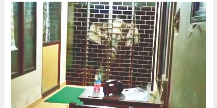 പ​റ​മ്പി​ക്കു​ളം പൊ​ലീ​സ് സ്​​റ്റേ​ഷ​ൻ വാ​തി​ൽ കാ​ട്ടാ​ന​ക​ൾ ത​ക​ർ​ത്തു