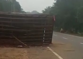 അമിത വേഗതയിലെത്തിയ കോഴി വണ്ടി മറിഞ്ഞ് ദേശീയ പാതയിൽ ഗതാഗത തടസ്സം