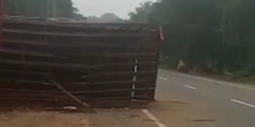 അമിത വേഗതയിലെത്തിയ കോഴി വണ്ടി മറിഞ്ഞ് ദേശീയ പാതയിൽ ഗതാഗത തടസ്സം