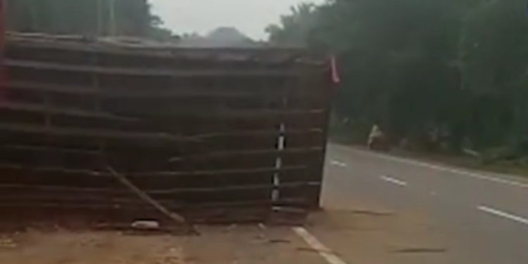 അമിത വേഗതയിലെത്തിയ കോഴി വണ്ടി മറിഞ്ഞ് ദേശീയ പാതയിൽ ഗതാഗത തടസ്സം