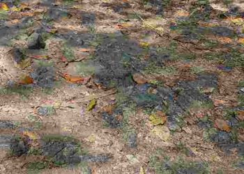 മലമ്പുഴയിൽ റോഡ് നടുവെ കുഴിച്ചീട്ട് മാസങ്ങൾ, നടുവൊടിഞ്ഞ് യാത്രക്കാർ