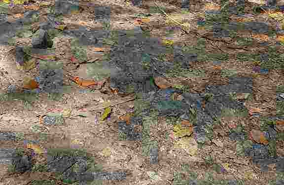 മലമ്പുഴയിൽ റോഡ് നടുവെ കുഴിച്ചീട്ട് മാസങ്ങൾ, നടുവൊടിഞ്ഞ് യാത്രക്കാർ