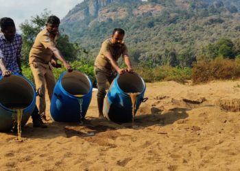 അഗളിയിൽ 1300 ലിറ്റർ വാഷ് കണ്ടെടുത്ത്  നശിപിച്ചു