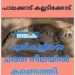 കല്ലടിക്കോട് പറക്കല്ലടിയില്‍ പുലിക്കുട്ടിയെ ചത്ത നിലയില്‍ കണ്ടെത്തി