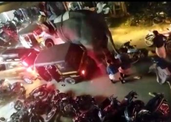 തെരുവത്ത് പള്ളി നേർച്ചയ്ക്ക് എഴുന്നള്ളത്തിനെത്തിച്ച ആന ഇടഞ്ഞു.