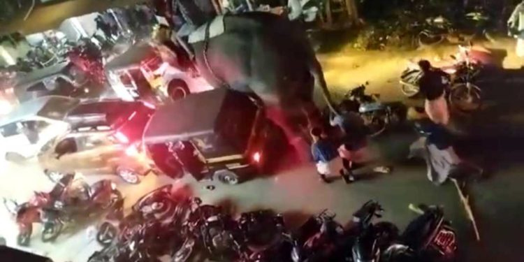 തെരുവത്ത് പള്ളി നേർച്ചയ്ക്ക് എഴുന്നള്ളത്തിനെത്തിച്ച ആന ഇടഞ്ഞു.