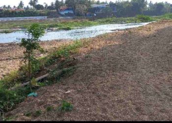 പുഴയിലെ മണൽ പുഴയിലേക്കു തന്നെ