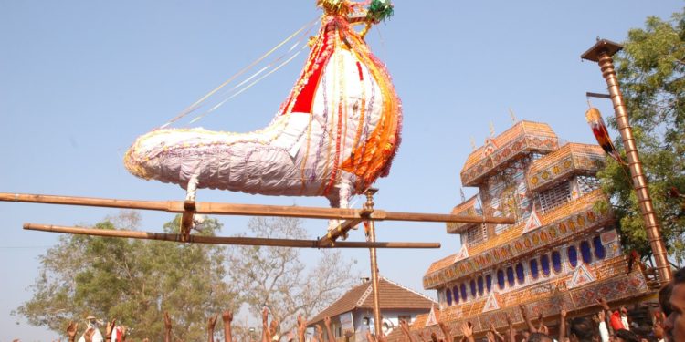 ഒറ്റ കാളയുമായി ചെര്‍പ്പുളശ്ശേരി പുത്തനാല്‍ക്കല്‍  കാളവേല