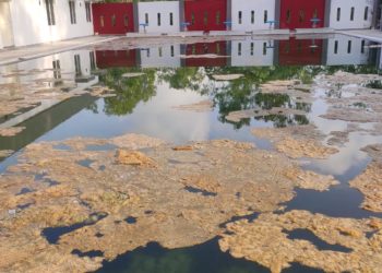 ചിറ്റൂർ കോളേജിലെ സ്വിമ്മിങ്ങ് പൂൾ നോക്കുകുത്തി.