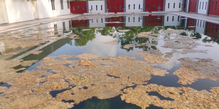 ചിറ്റൂർ കോളേജിലെ സ്വിമ്മിങ്ങ് പൂൾ നോക്കുകുത്തി.