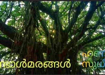 രണ്ടാൾമരങ്ങൾ