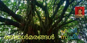 രണ്ടാൾമരങ്ങൾ