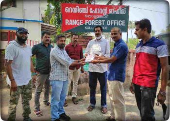 അവശേഷിക്കുന്ന പച്ചപ്പ് നിലനിർത്തുക