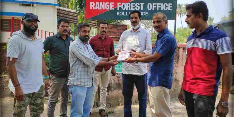 അവശേഷിക്കുന്ന പച്ചപ്പ് നിലനിർത്തുക