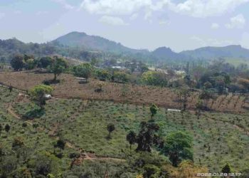 നെല്ലിയാമ്പതി ഫാമിൽ ജൈവവൈവിദ്ധ്യ രജിസ്റ്റർ തയ്യാറാക്കുന്നതിന് തുടക്കം കുറിച്ചു.