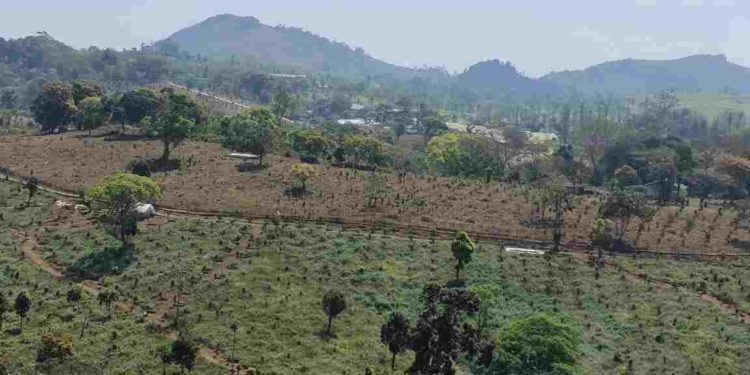 നെല്ലിയാമ്പതി ഫാമിൽ ജൈവവൈവിദ്ധ്യ രജിസ്റ്റർ തയ്യാറാക്കുന്നതിന് തുടക്കം കുറിച്ചു.