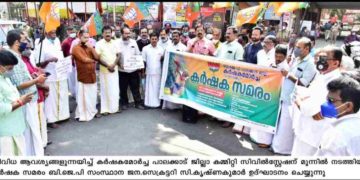 കലക്ട്രേറ്റ് ധർണ്ണ നടത്തി