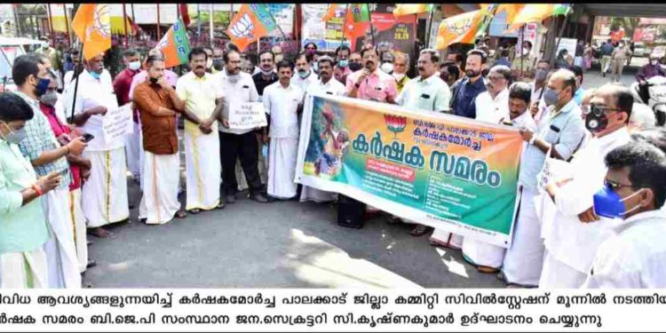 കലക്ട്രേറ്റ് ധർണ്ണ നടത്തി