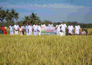 ഗാന്ധിദർശൻ ഹരിതവേദി, വിളവെടുപ്പുത്സവം സംഘടിപ്പിച്ചു.