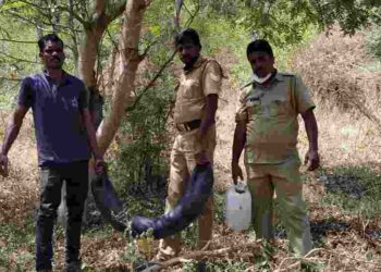 ചാരായം കണ്ടെടുത്ത് നശിപ്പിച്ചു