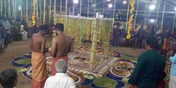 കൂടല്ലൂർ വെഴുത്തൻ കാവിൽ കളമെഴുത്തും പുള്ളുവൻ പാട്ടും ആഘോഷിച്ചു.