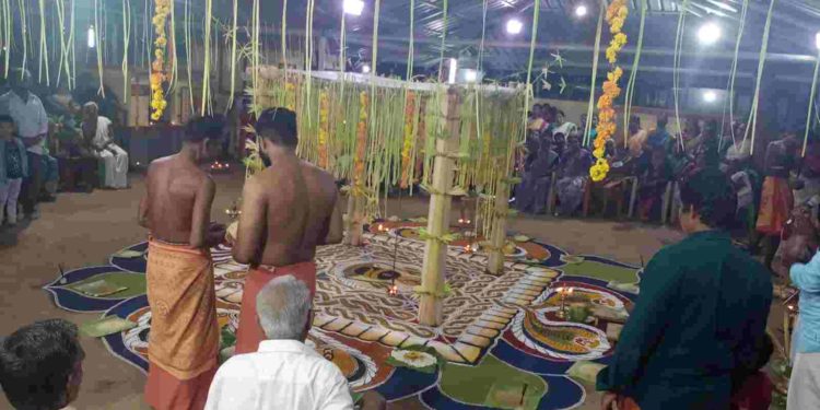 കൂടല്ലൂർ വെഴുത്തൻ കാവിൽ കളമെഴുത്തും പുള്ളുവൻ പാട്ടും ആഘോഷിച്ചു.