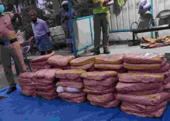 വാളയാറിൽ വൻ കഞ്ചാവ് വേട്ട; പിടിച്ചെടുത്തത് 170 കിലോ, മൂന്നുപേർ പിടിയിൽ