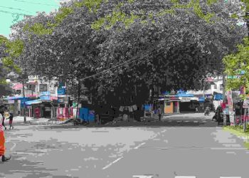 മന്തക്കാട് ജങ്ഷനിലെ ആൽമരം മുറിച്ച് നീക്കാൻ അണിയറ നീക്കം