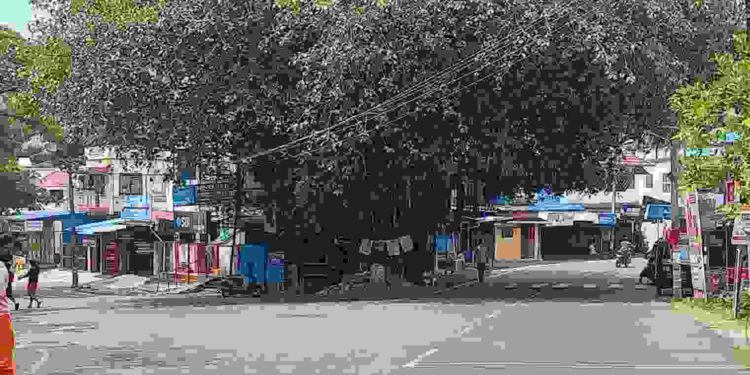 മന്തക്കാട് ജങ്ഷനിലെ ആൽമരം മുറിച്ച് നീക്കാൻ അണിയറ നീക്കം