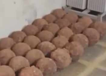 പാലക്കാട് കോട്ടയിൽ നിർമ്മാണ പ്രവർത്തനങ്ങൾക്കിടെ പീരങ്കി ഉണ്ടകൾ കണ്ടെത്തി