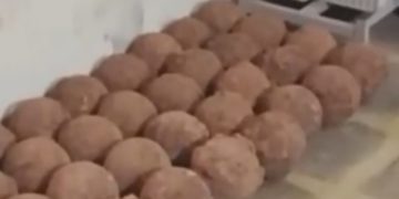പാലക്കാട് കോട്ടയിൽ നിർമ്മാണ പ്രവർത്തനങ്ങൾക്കിടെ പീരങ്കി ഉണ്ടകൾ കണ്ടെത്തി