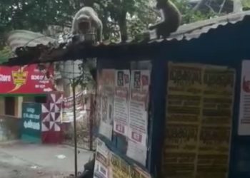 ഇവർ മുരുകൻ്റെ കൂട്ടുകാർ