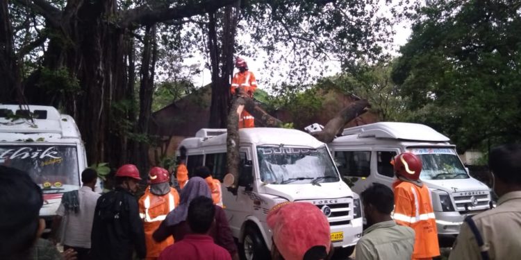 മലമ്പുഴയിൽ കാറ്റും മഴയും, മരം വീണ് രണ്ട് ട്രാവലർ തകർന്നു.