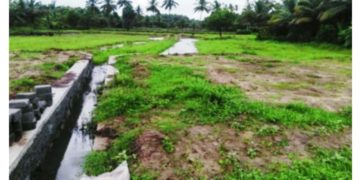 നികത്തിയ കൃഷിഭൂമി പൂർവസ്ഥിതിയിലാക്കാൻകലക്ടറുടെ ഉത്തരവ്‌