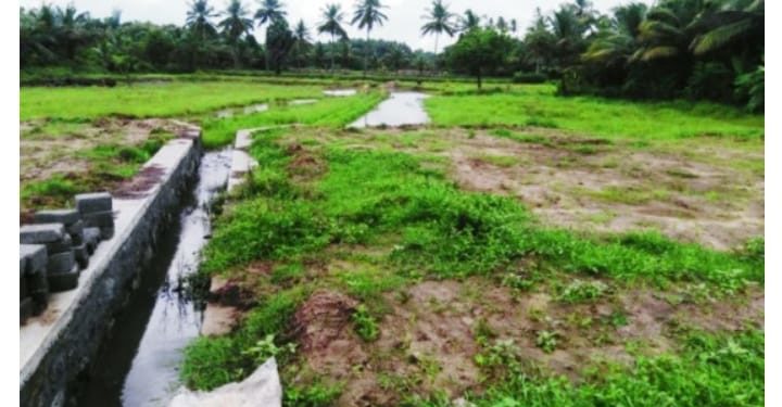 നികത്തിയ കൃഷിഭൂമി പൂർവസ്ഥിതിയിലാക്കാൻകലക്ടറുടെ ഉത്തരവ്‌